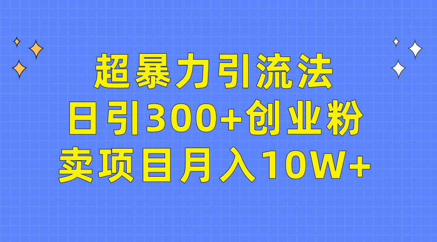 （9954期）超暴力引流法，日引300+创业粉，卖项目月入10W+-创奇社
