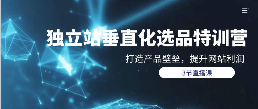 （9925期）独立站-垂直化选品训练营，打造产品壁垒，提升网站利润（3节直播课）-创奇社