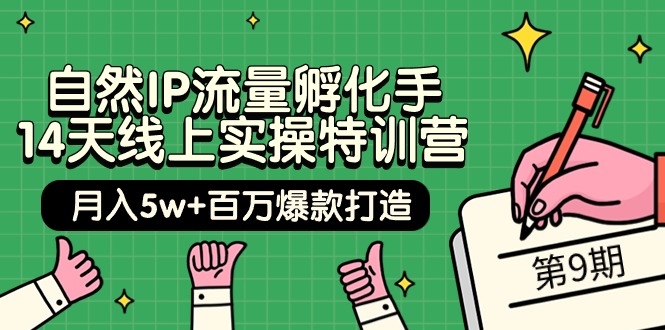 （9881期）自然IP流量孵化手 14天线上实操特训营【第9期】月入5w+百万爆款打造 (74节)-创奇社