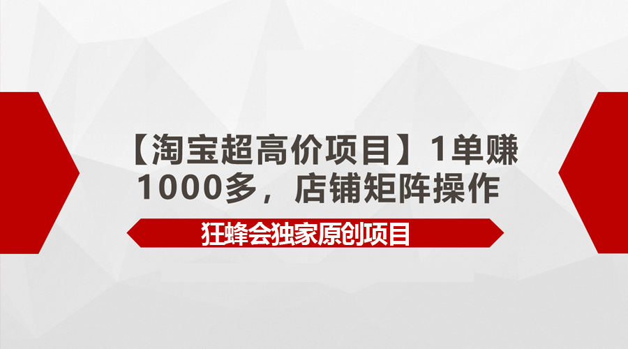 （9849期）【淘宝超高价项目】1单赚1000多，店铺矩阵操作-创奇社
