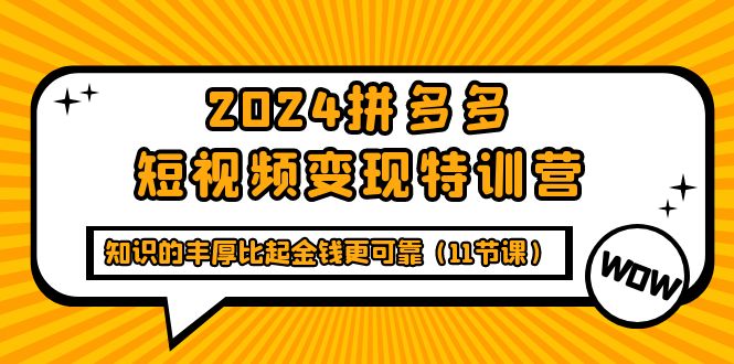 （9817期）2024拼多多短视频变现特训营，知识的丰厚比起金钱更可靠（11节课）-创奇社