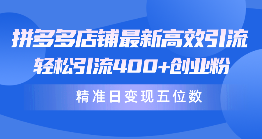 （10041期）拼多多店铺最新高效引流术，轻松引流400+创业粉，精准日变现五位数！-创奇社
