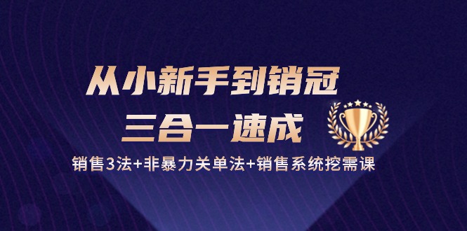 （10799期）从小新手到销冠 三合一速成：销售3法+非暴力关单法+销售系统挖需课 (27节)-创奇社