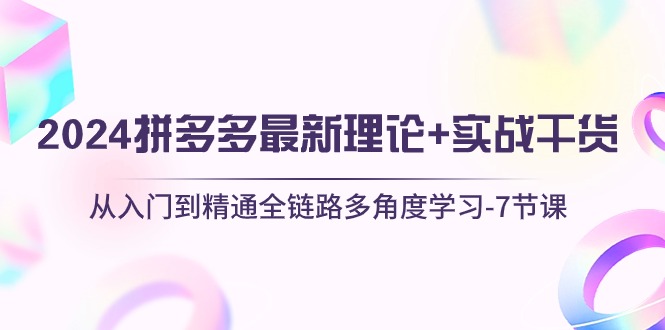 （10816期）2024拼多多 最新理论+实战干货，从入门到精通全链路多角度学习-7节课-创奇社