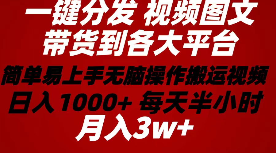 （10667期）2024年 一键分发带货图文视频  简单易上手 无脑赚收益 每天半小时日入1…-创奇社