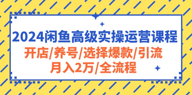 （10711期）2024闲鱼高级实操运营课程：开店/养号/选择爆款/引流/月入2万/全流程-创奇社