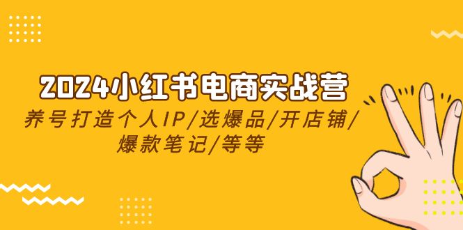 （10375期）2024小红书电商实战营，养号打造IP/选爆品/开店铺/爆款笔记/等等（24节）-创奇社
