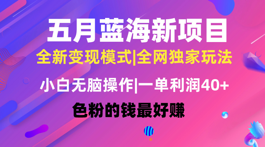 （10477期）五月蓝海项目全新玩法，小白无脑操作，一天几分钟，矩阵操作，月入4万+-创奇社