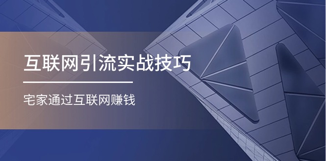 （11108期）互联网引流实操技巧(适合微商，吸引宝妈)，宅家通过互联网赚钱（17节）-创奇社
