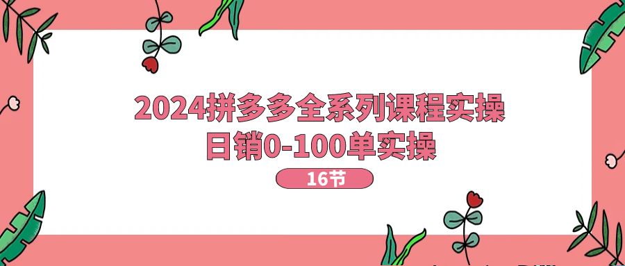 （11222期）2024拼多多全系列课程实操，日销0-100单实操【16节课】-创奇社