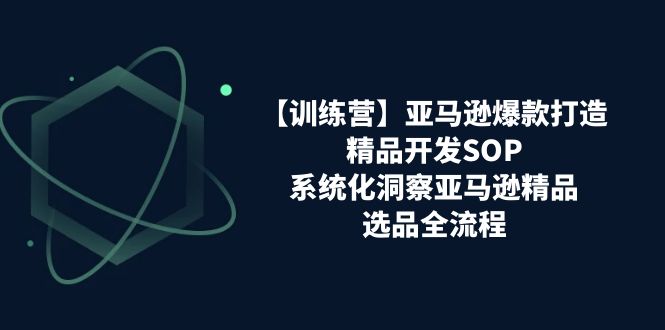 （11210期）【训练营】亚马逊爆款打造之精品开发SOP，系统化洞察亚马逊精品选品全流程-创奇社