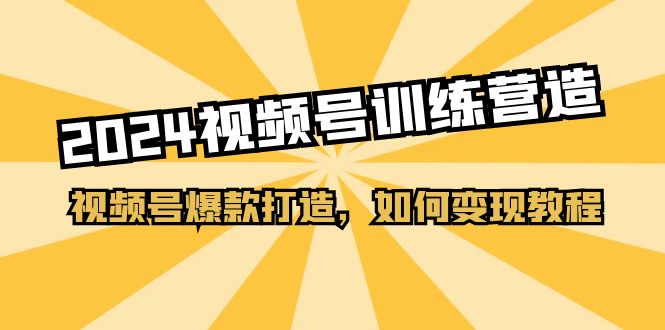 （11135期）2024视频号训练营，视频号爆款打造，如何变现教程（20节课）-创奇社