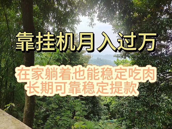 （11144期）挂机掘金，日入1000+，躺着也能吃肉，适合宝爸宝妈学生党工作室，电脑…-创奇社