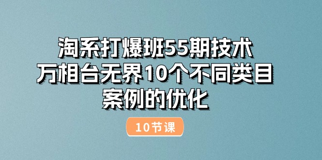 （10996期）淘系打爆班55期技术：万相台无界10个不同类目案例的优化（10节）-创奇社