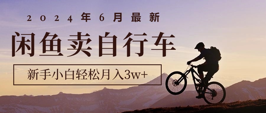 （10915期）2024年6月最新闲鱼卖自行车，新手小白轻松月入3w+项目-创奇社