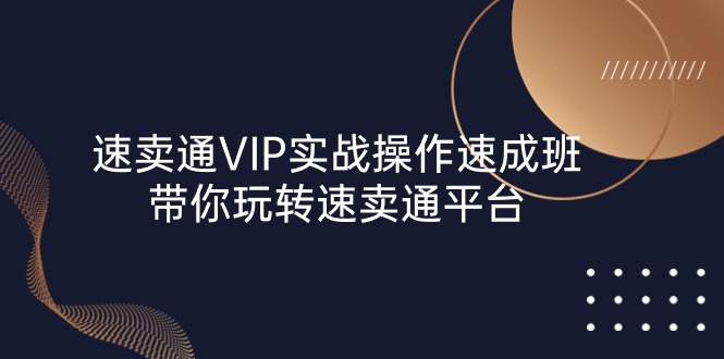 （10935期）速卖通 VIP实战操作-速成班，带你玩转速卖通平台（23节）-创奇社