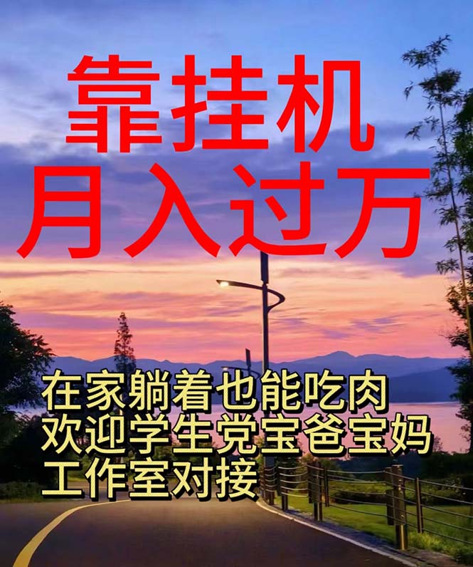 （10838期）靠挂机，日入1000+，躺着也能吃肉，适合宝爸宝妈学生党工作室，电脑手…-创奇社