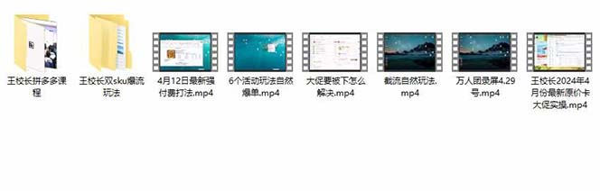 （10865期）拼多多·实战课：万人团玩法/截流自然流/最新强付费打法/最新原价卡大促..-1