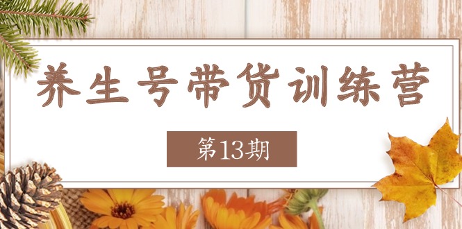 养生号带货训练营【第13期】收益更稳定的玩法，让你带货收益爆炸-创奇社 - AI前沿·副业变现·资源教程！