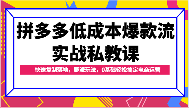 拼多多低成本爆款流实战私教课，快速复制落地，野派玩法，0基础轻松搞定电商运营-创奇社 - AI前沿·副业变现·资源教程！