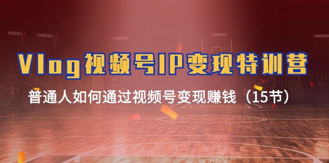 （11654期）Vlog 视频号IP变现特训营，普通人如何通过视频号变现赚钱（15节）-创奇社