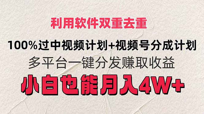 （11862期）利用软件双重去重，100%过中视频+视频号分成计划小白也可以月入4W+-创奇社