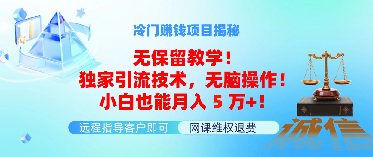 （11864期）冷门赚钱项目无保留教学！独家引流技术，无脑操作！小白也能月入5万+！-创奇社