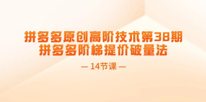 （11704期）拼多多原创高阶技术第38期，拼多多阶梯提价破量法（14节课）-创奇社