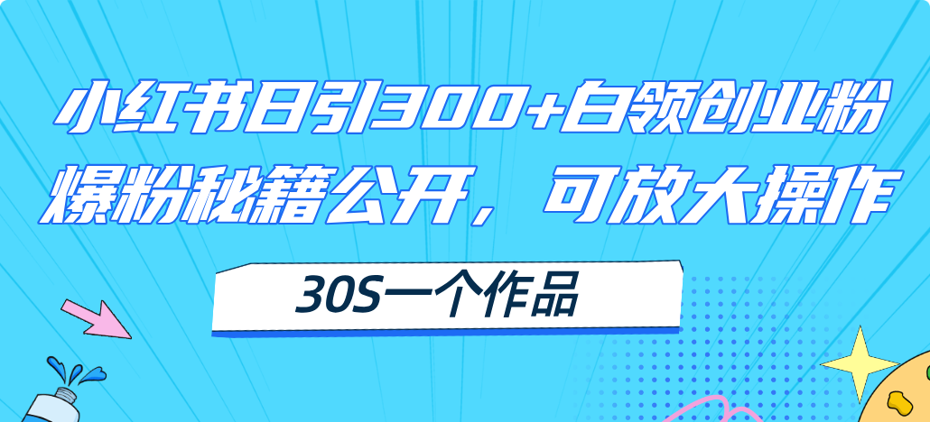 （11692期）小红书日引300+高质白领创业粉，可放大操作，爆粉秘籍！30s一个作品-创奇社