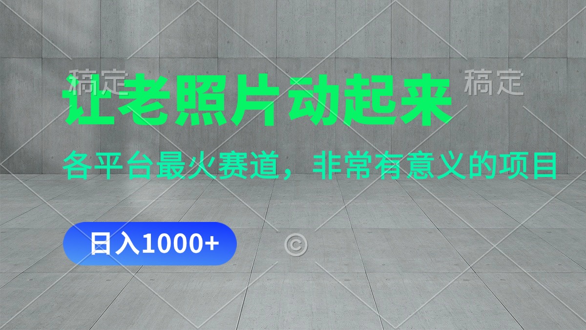 （11671期）让老照片动起来，一天变现1000+，各平台最火赛道，看完就会-创奇社 - AI前沿·副业变现·资源教程！