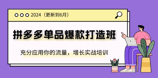 （11556期）2024拼多多-单品爆款打造班(更新6月)，充分应用你的流量，增长实战培训-创奇社