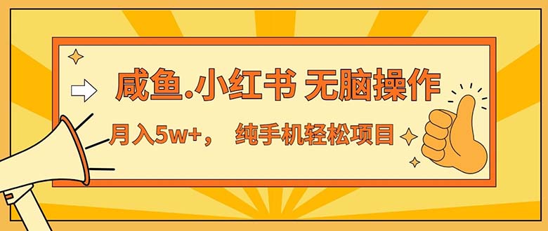 （11524期）2024最赚钱的项目，咸鱼，小红书无脑操作，每单利润500+，轻松月入5万+…-创奇社