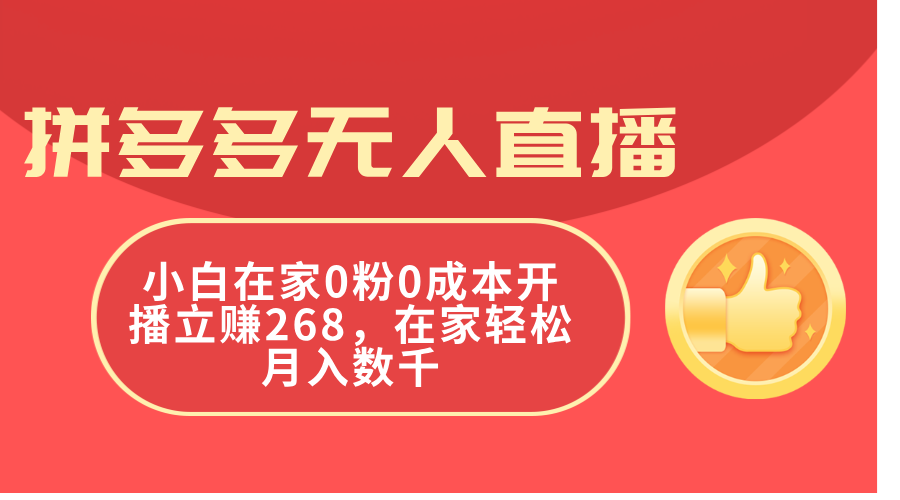 （11521期）拼多多无人直播，小白在家0粉0成本开播立赚268，在家轻松月入数千-创奇社