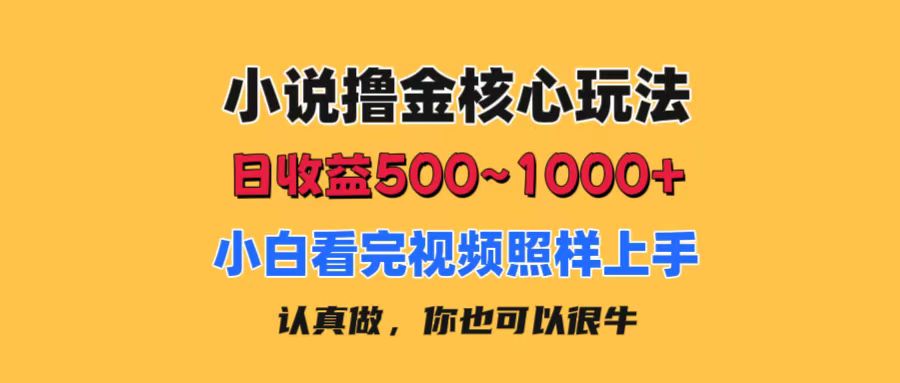 （11461期）小说撸金核心玩法，日收益500-1000+，小白看完照样上手，0成本有手就行-创奇社