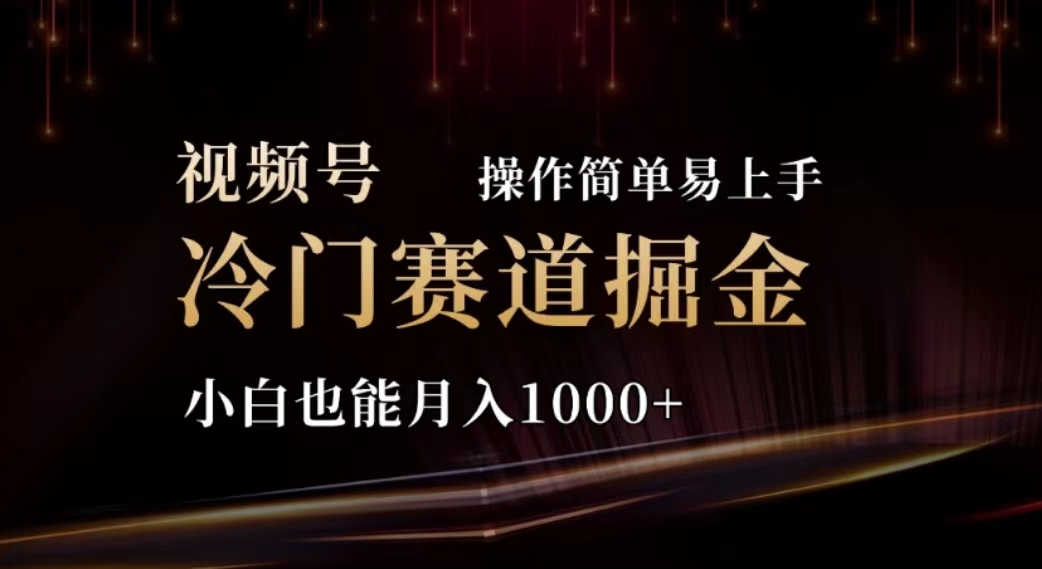 （11378期）2024视频号冷门赛道掘金，操作简单轻松上手，小白也能月入1000+-创奇社