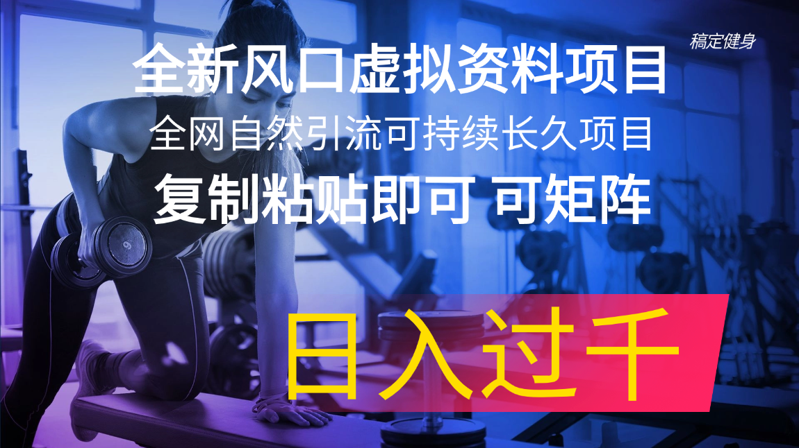 （11587期）全新风口虚拟资料项目 全网自然引流可持续长久项目 复制粘贴即可可矩阵…-创奇社