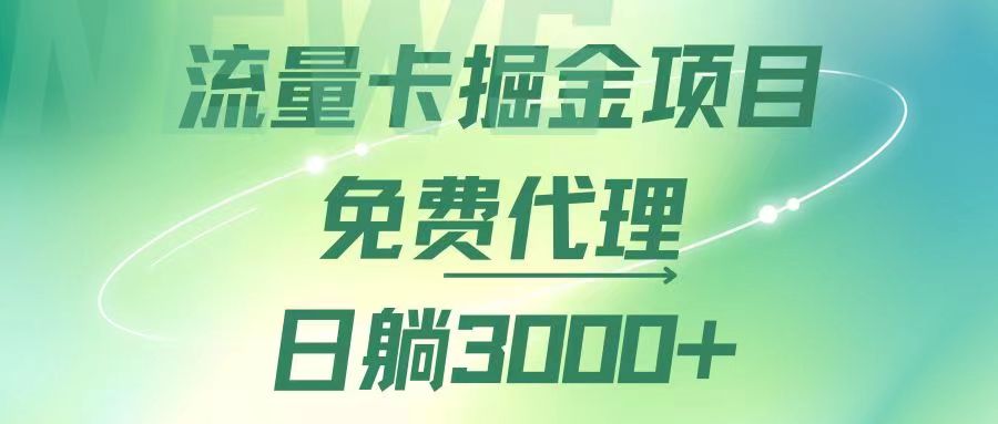 （12321期）流量卡掘金代理，日躺赚3000+，变现暴力，多种推广途径-创奇社