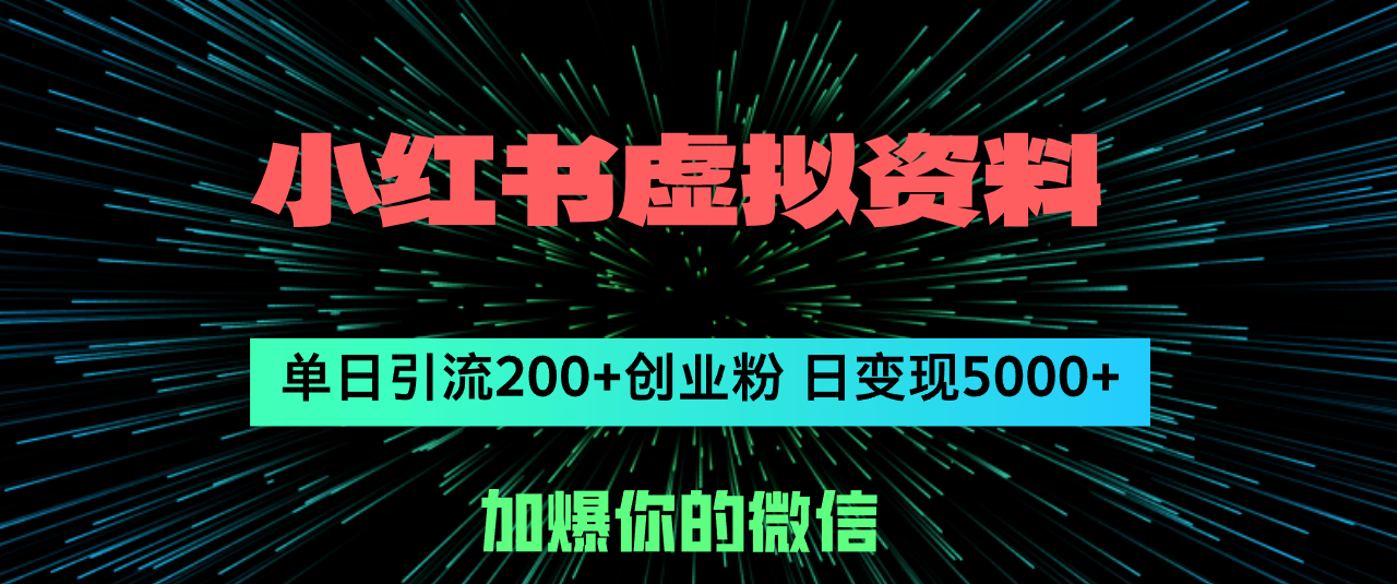 （12164期）小红书虚拟资料日引流200+创业粉，单日变现5000+-创奇社