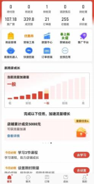 （12035期）拼多多虚拟电商，单人操作10家店，单店日盈利100+-2