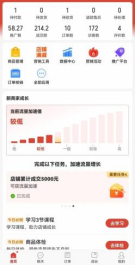 （12035期）拼多多虚拟电商，单人操作10家店，单店日盈利100+-3