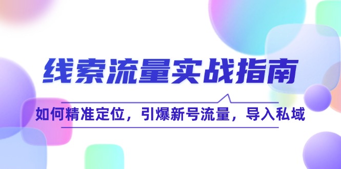 （12382期）线 索 流 量-实战指南：如何精准定位，引爆新号流量，导入私域-创奇社