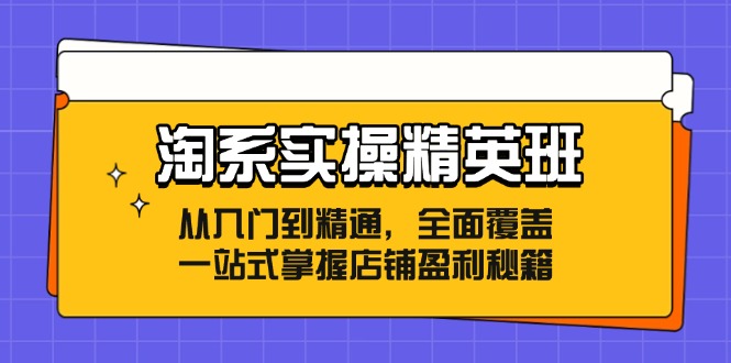 （12276期）淘系实操精英班：从入门到精通，全面覆盖，一站式掌握店铺盈利秘籍-创奇社
