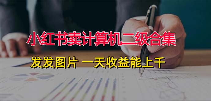 （12228期）小红书卖计算机二级合集，发发图片 一天收益能上千-创奇社 - AI前沿·副业变现·资源教程！