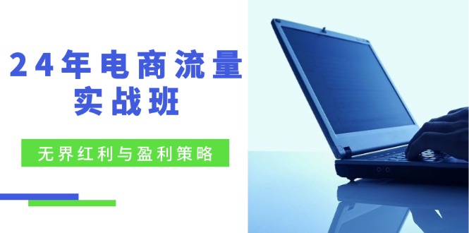 （12168期）24年电商流量实战班：无界 红利与盈利策略，终极提升/关键词优化/精准…-创奇社
