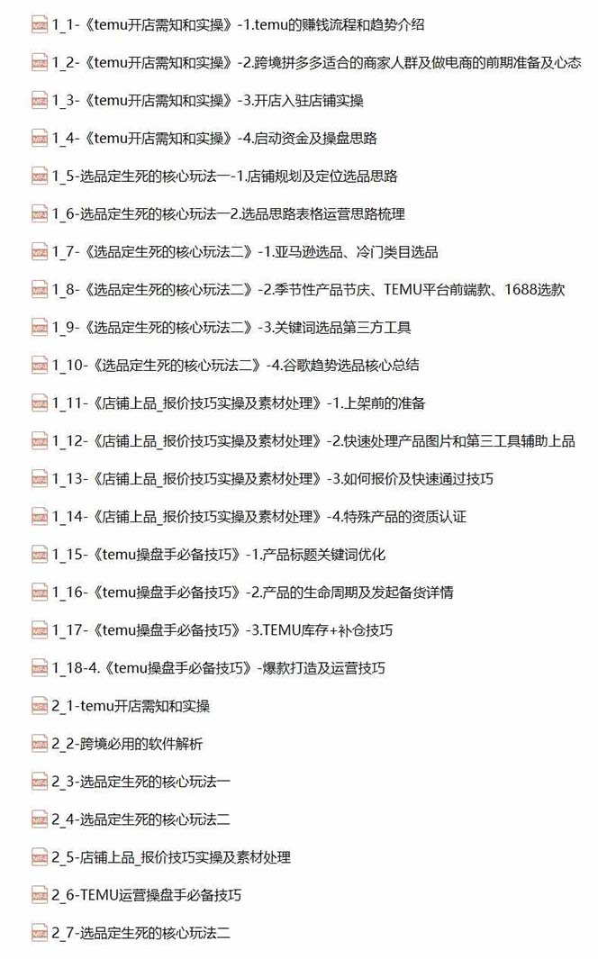 （12106期）2024-TEMU拼多多·跨境开店、运营、选品（25节视频课）-2