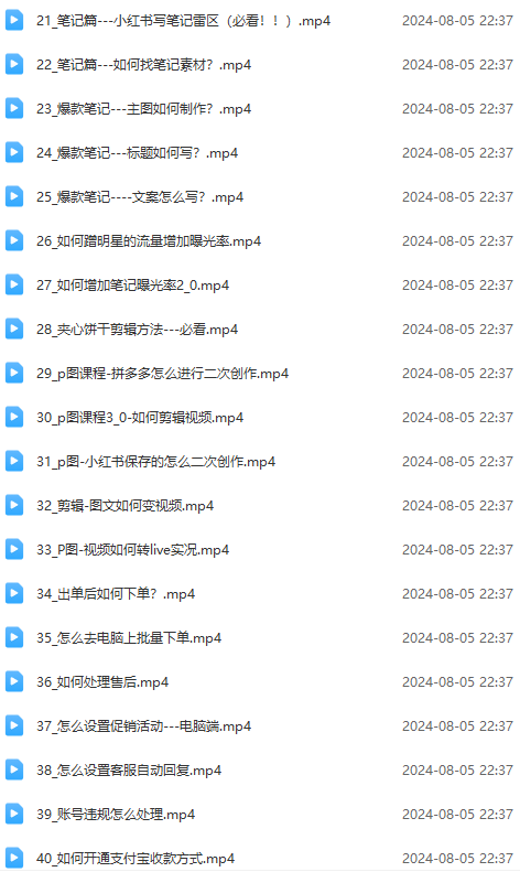 （12003期）2024小红书电商实战课：全体系打造 全方位梳理 小红书电商逻辑体系 (42节)-3