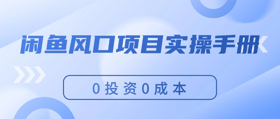 （11923期）闲鱼风口项目实操手册，0投资0成本，让你做到，月入过万，新手可做-创奇社