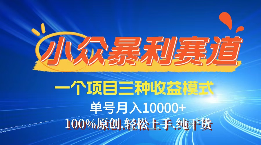 （12579期）【老人言】-视频号爆火赛道，三种变现方式，0粉新号调调爆款-创奇社