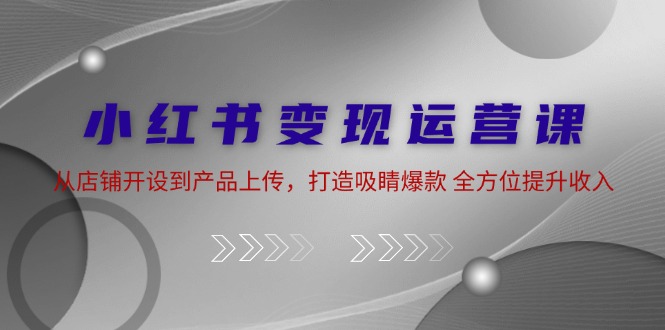 （12520期）小红书变现运营课：从店铺开设到产品上传，打造吸睛爆款 全方位提升收入-创奇社