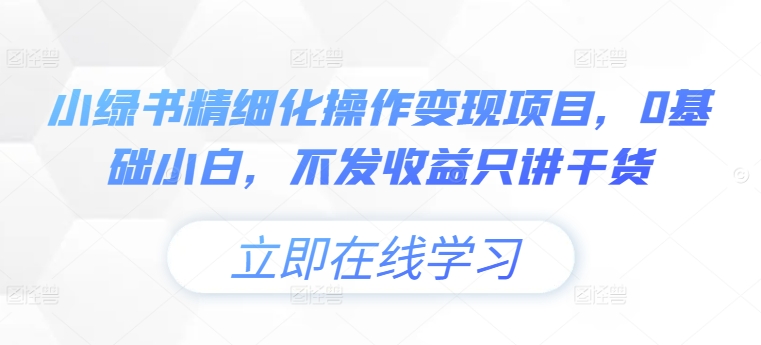 小绿书精细化操作变现项目，0基础小白，不发收益只讲干货-创奇社 - AI前沿·副业变现·资源教程！
